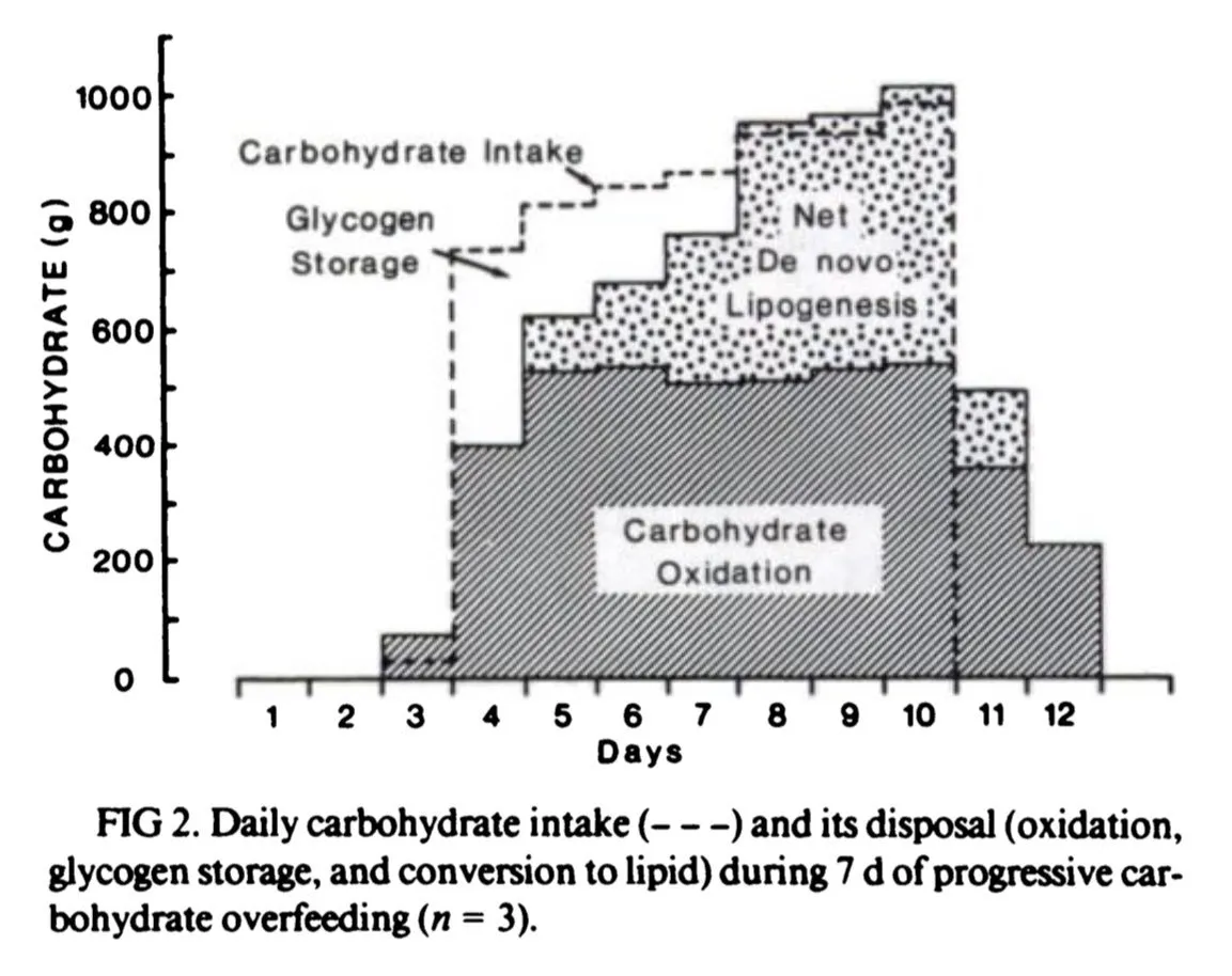 Carbohydrate Fat Gain